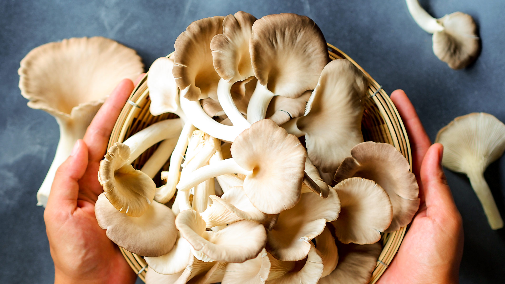 Естествен IMG®